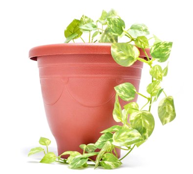 歐式花盆(6吋~2尺)